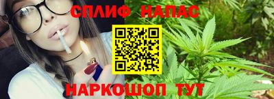 прущие грибы Лесосибирск