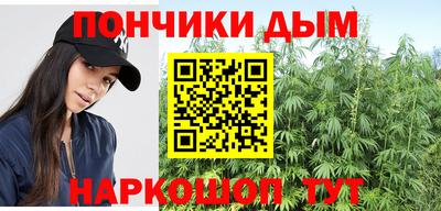 прущие грибы Лесосибирск