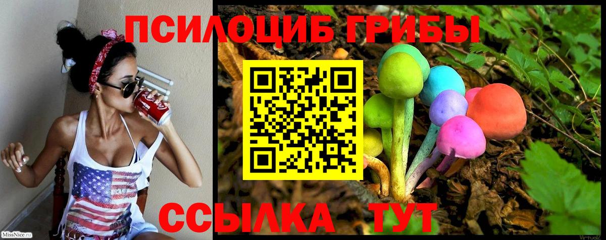 Галлюциногенные грибы мицелий Будённовск