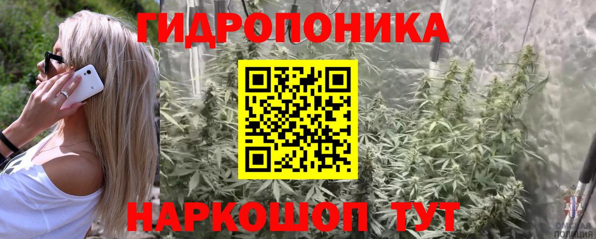 МАРИХУАНА SATIVA & INDICA  Марихуана Ganja  Вход с VPN  Будённовск  Бошки Шишки LSD WEED 